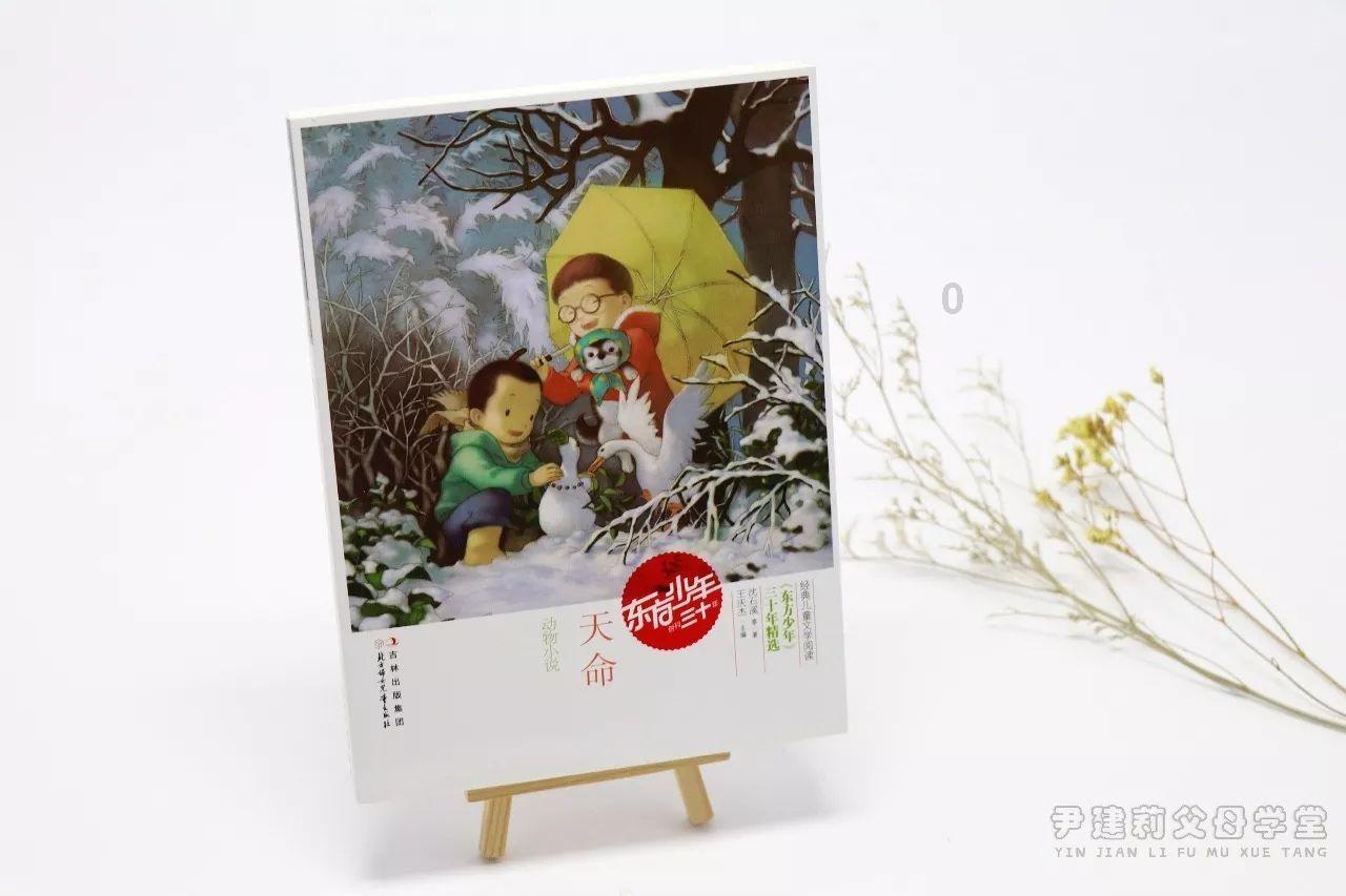 张柏芝生三胎孩子的爸爸是谁啊游戏画面
